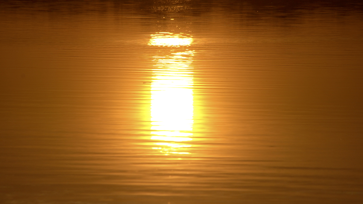 sunsetsis.jpg sunsetsis.jpg